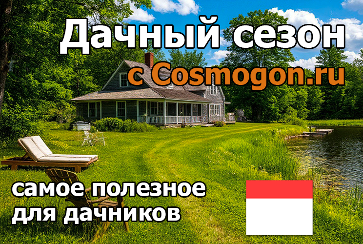 Садоводство