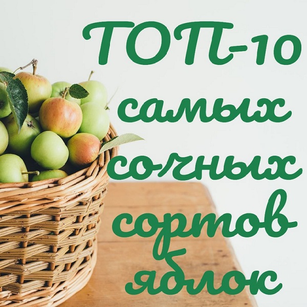 Обзоры- О��зоры- ТОП-10 самых сочных сортов яблок
