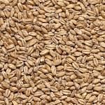 Солод пшеничный 1 кг Бельгия