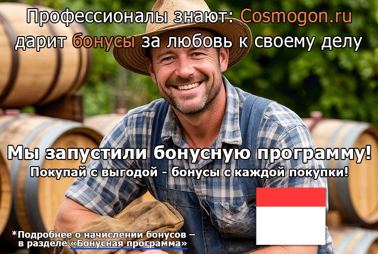 Бонусная программа