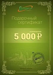 Подарочный сертификат на 5000 рублей