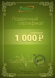 Подарочный сертификат на 1000 рублей