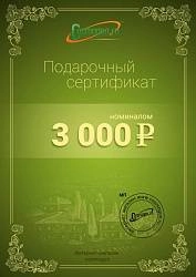 Подарочный сертификат на 3000 рублей